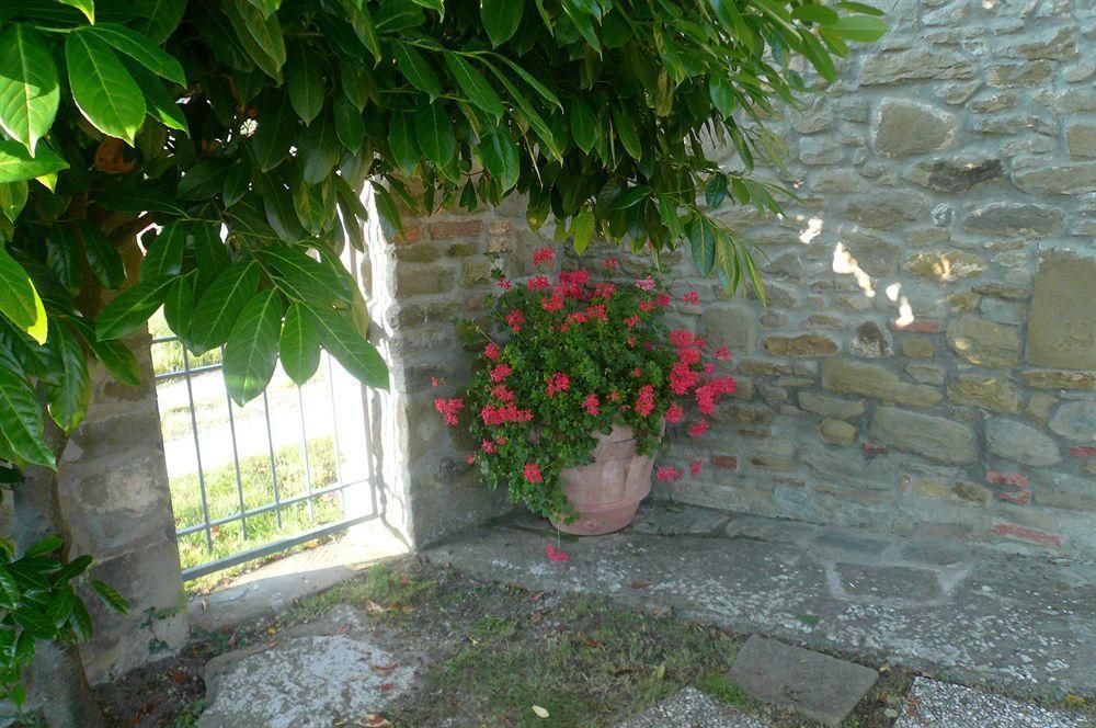 Il Gelso Apartman Cortona Kültér fotó
